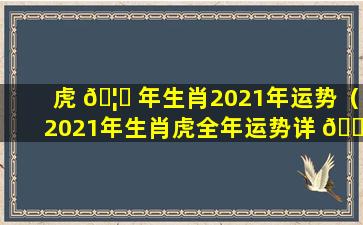 虎 🦍 年生肖2021年运势（2021年生肖虎全年运势详 🐎 解）